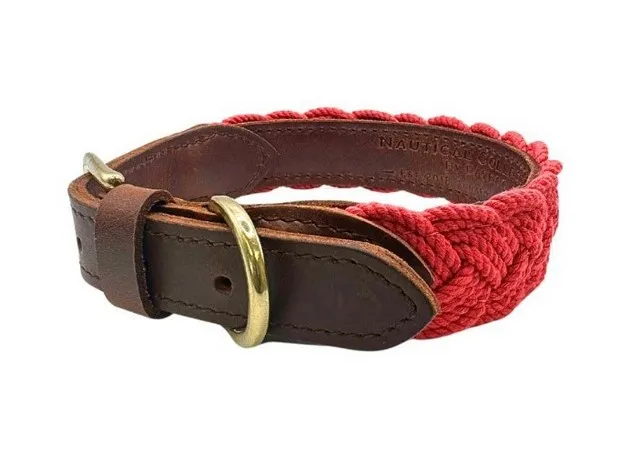 1ea Baydog Medium Clifford Red Seaside Collar - Hard Goods